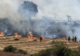 Los servicios de extinción de incendios trabajan en la zona.