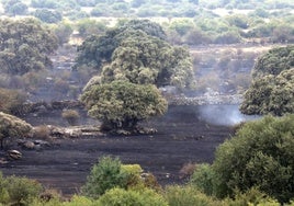 Incendio en Navas de San Antonio.