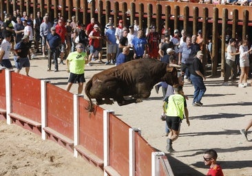 Veloz encierro y emocionante capea en Peñafiel