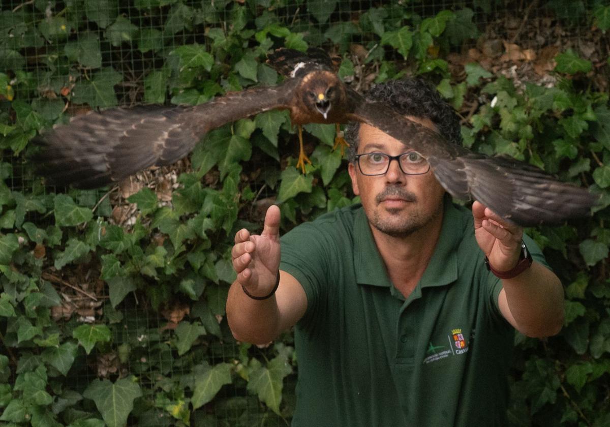 Nueva vida para los animales silvestres heridos: así funciona el centro de recuperación de Valladolid