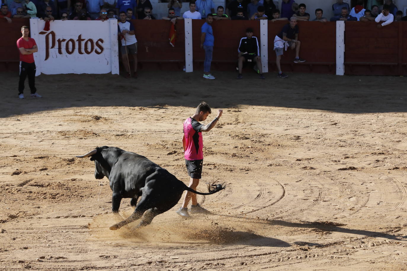 La mañana taurina de Peñafiel, en imágenes