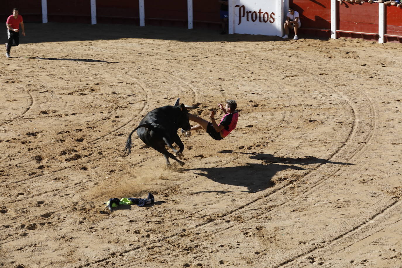 La mañana taurina de Peñafiel, en imágenes