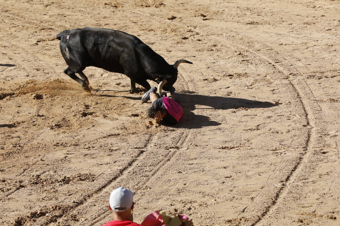 La mañana taurina de Peñafiel, en imágenes