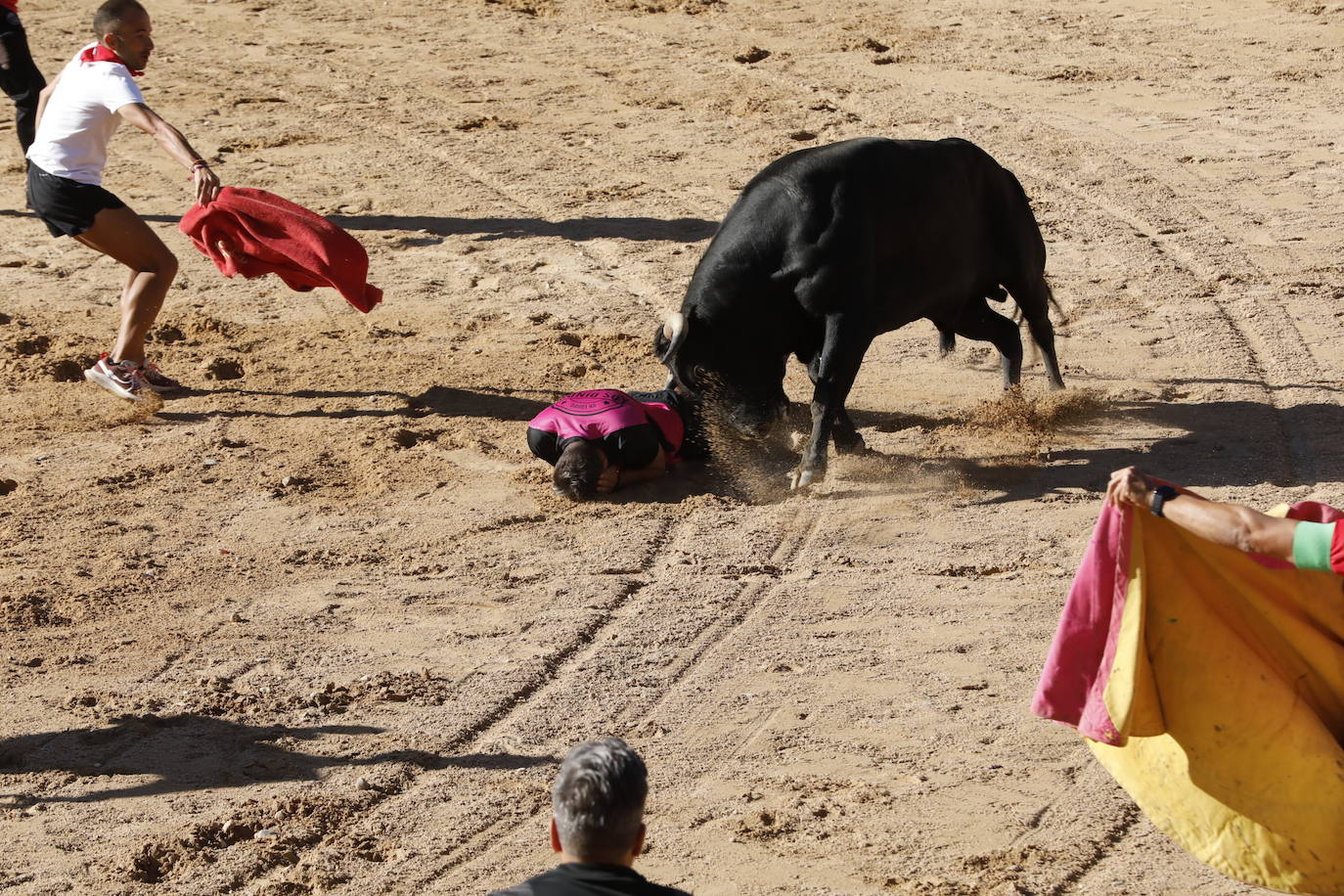 La mañana taurina de Peñafiel, en imágenes