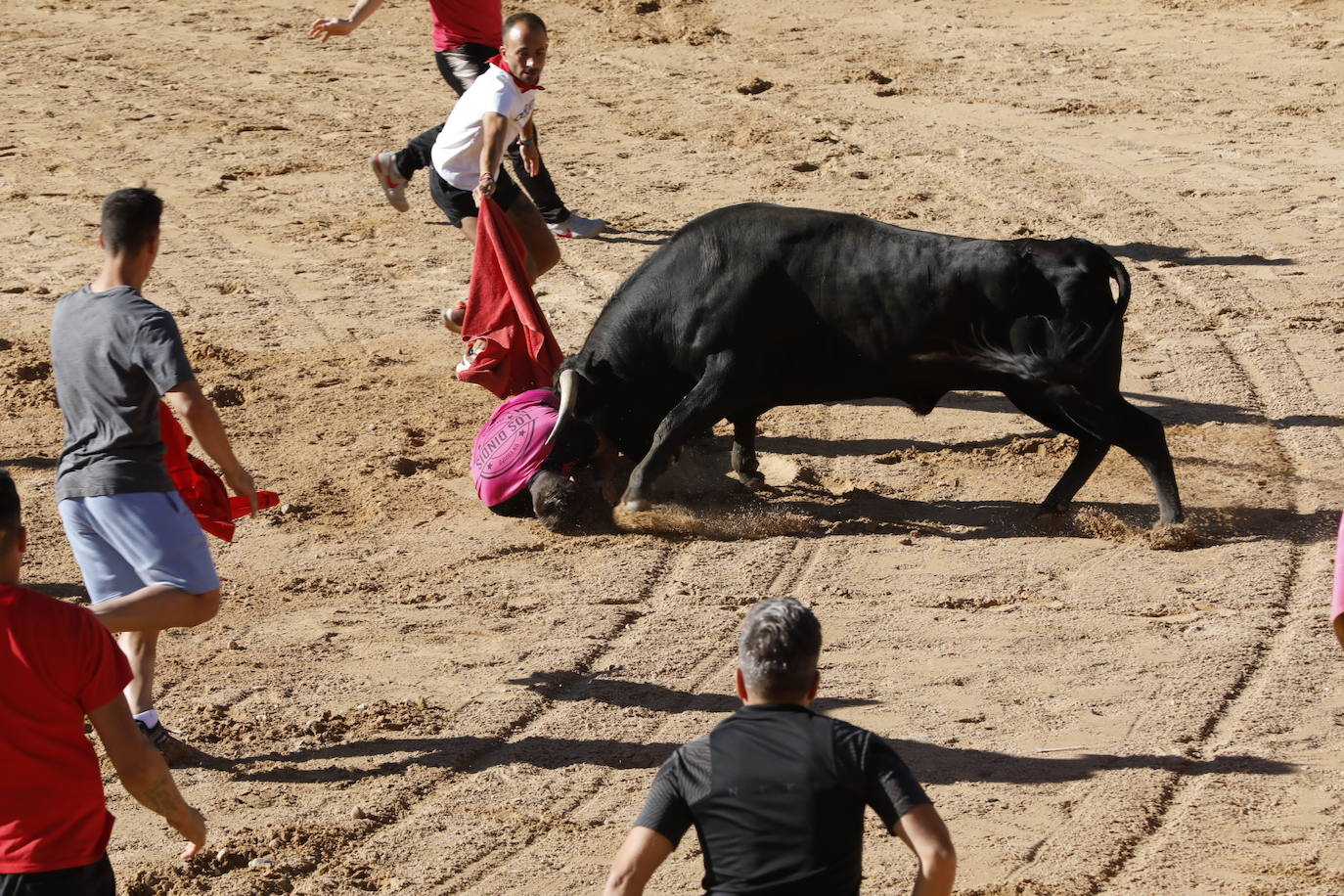 La mañana taurina de Peñafiel, en imágenes