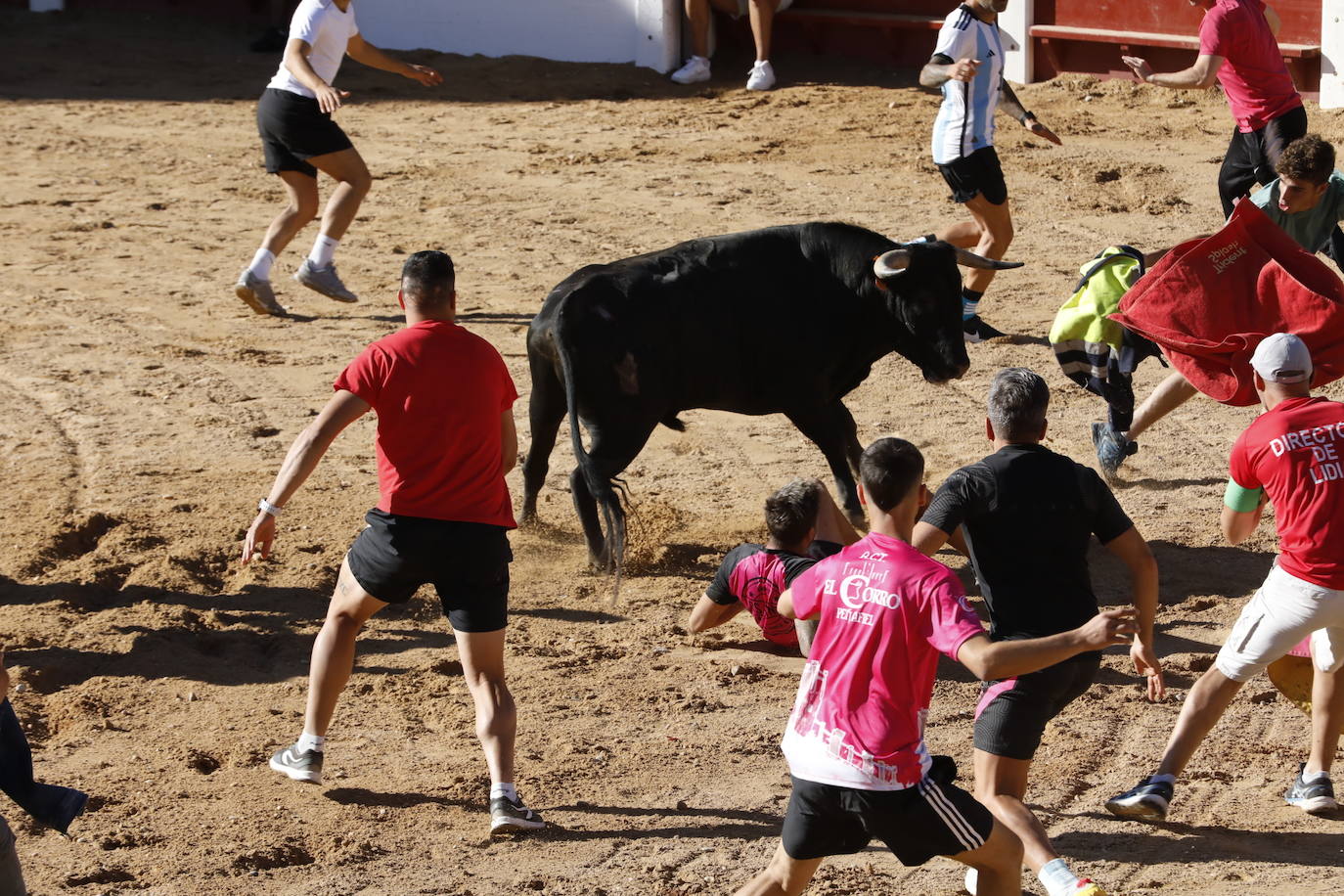 La mañana taurina de Peñafiel, en imágenes