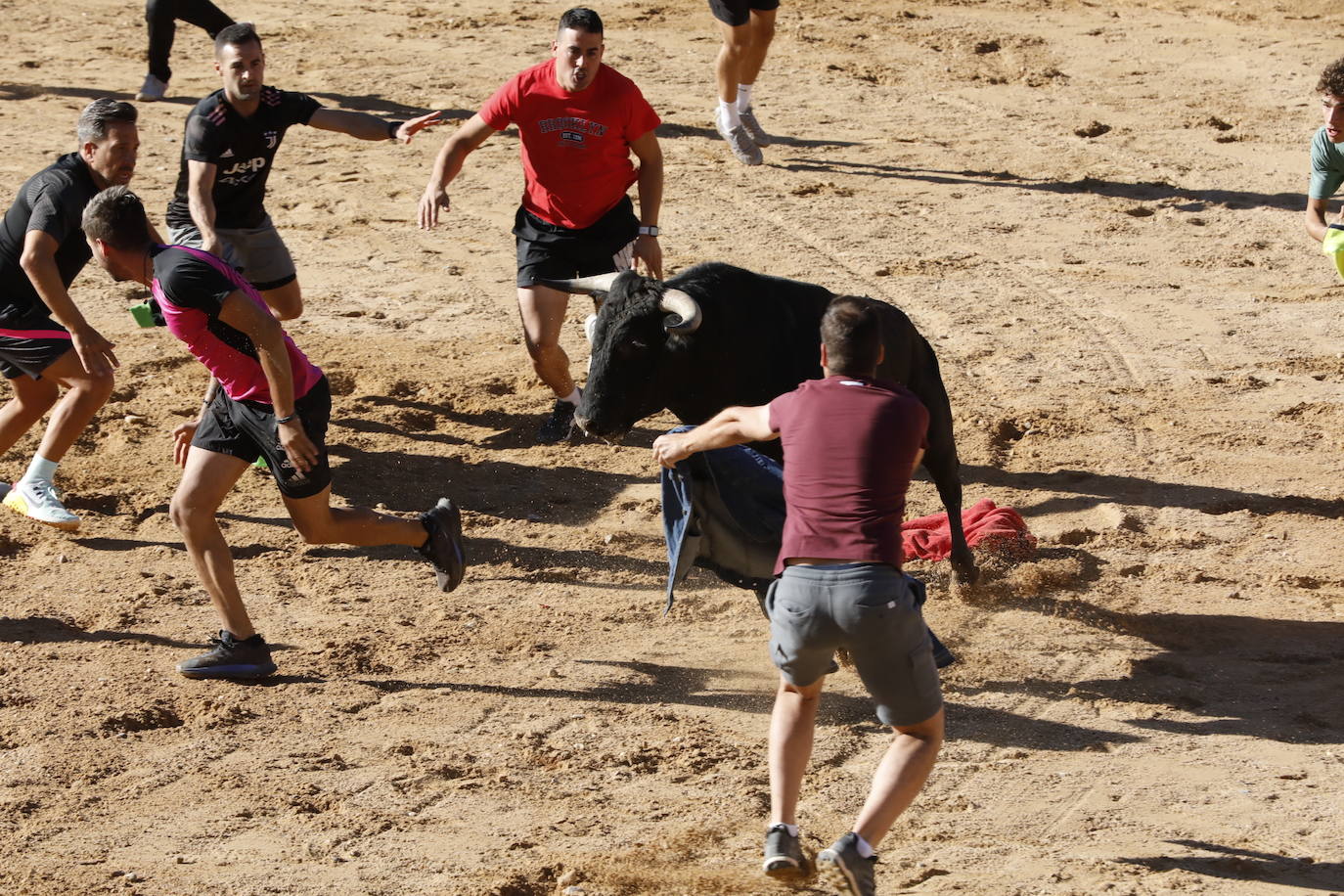 La mañana taurina de Peñafiel, en imágenes