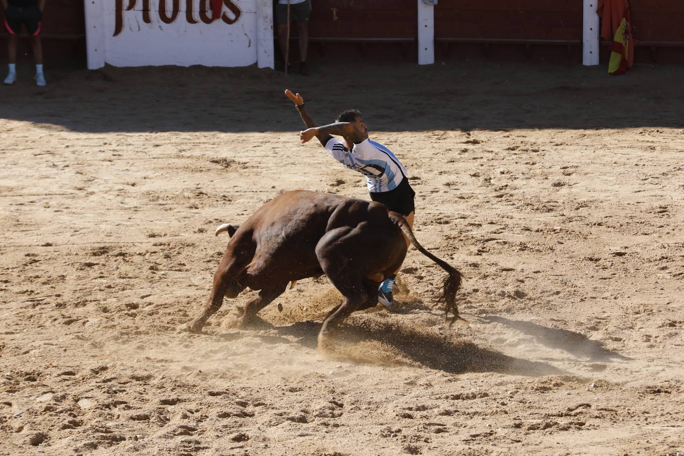 La mañana taurina de Peñafiel, en imágenes