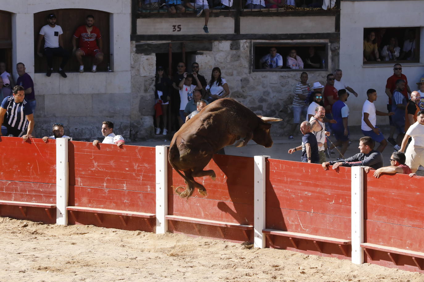 La mañana taurina de Peñafiel, en imágenes