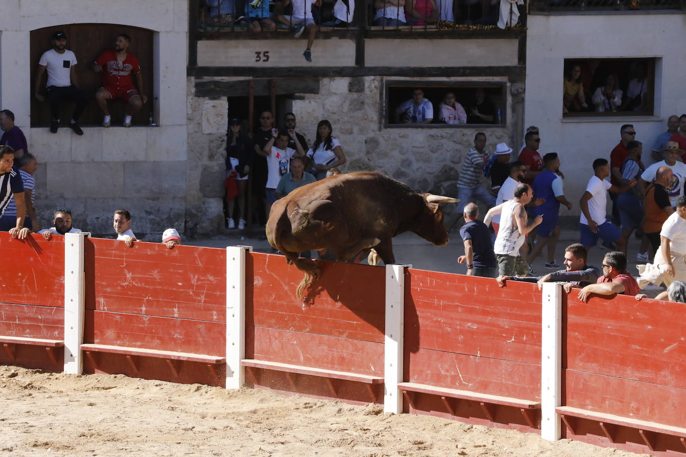 La mañana taurina de Peñafiel, en imágenes