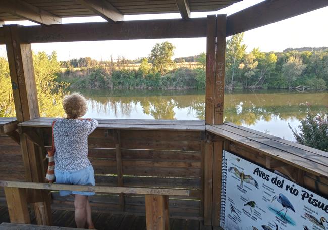 Observatorio de las aves en el parque de la lavanderas.