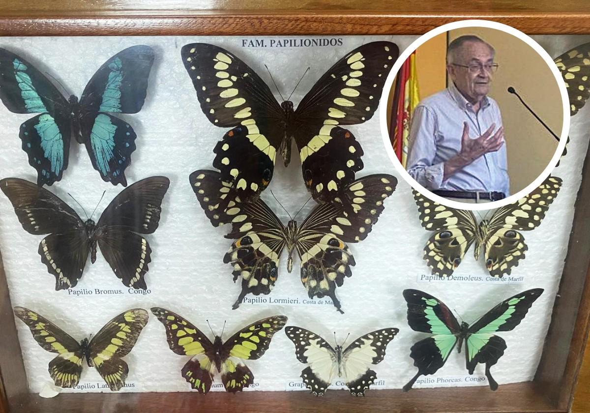 Algunas de las mariposas expuestas y Martín de Frutos durante la inauguración de la exposición.