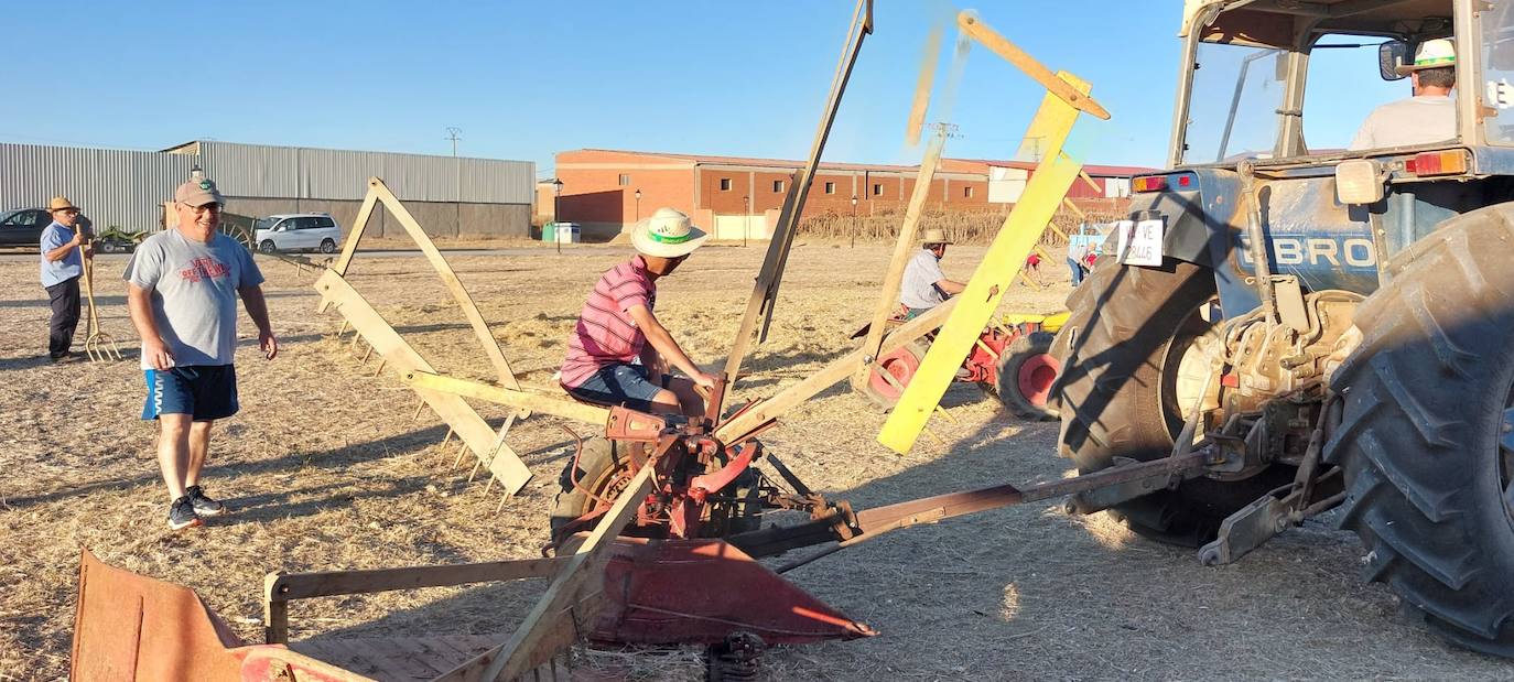 Las imágenes de la recreación de la trilla en Bolaños de Campos