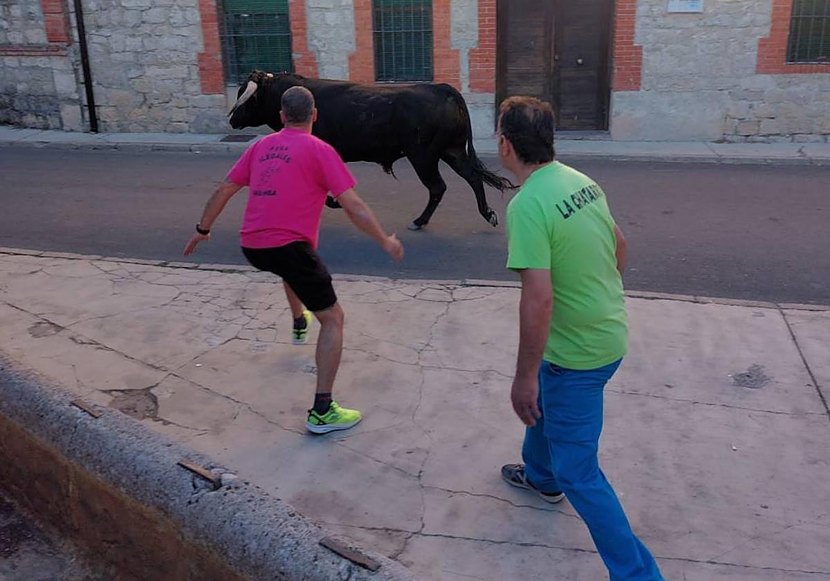 Dos cortadores en el encierro de Wamba
