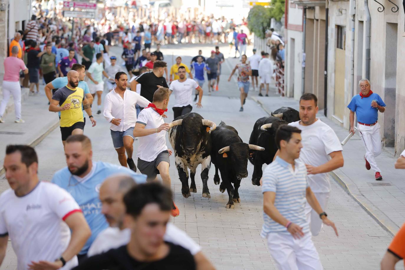 Imágenes de la capea de Peñafiel