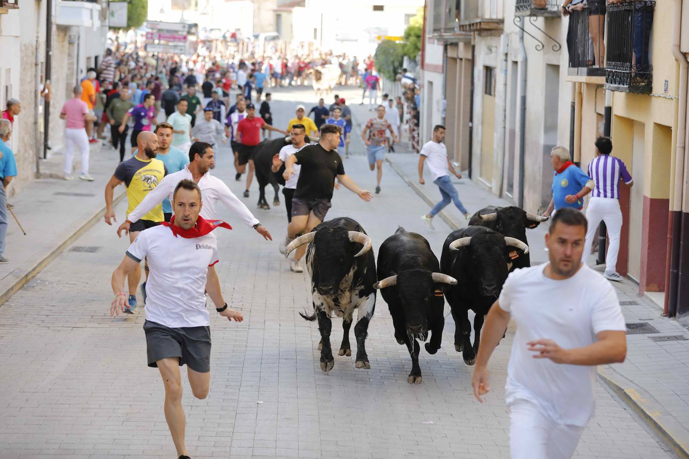 Imágenes de la capea de Peñafiel