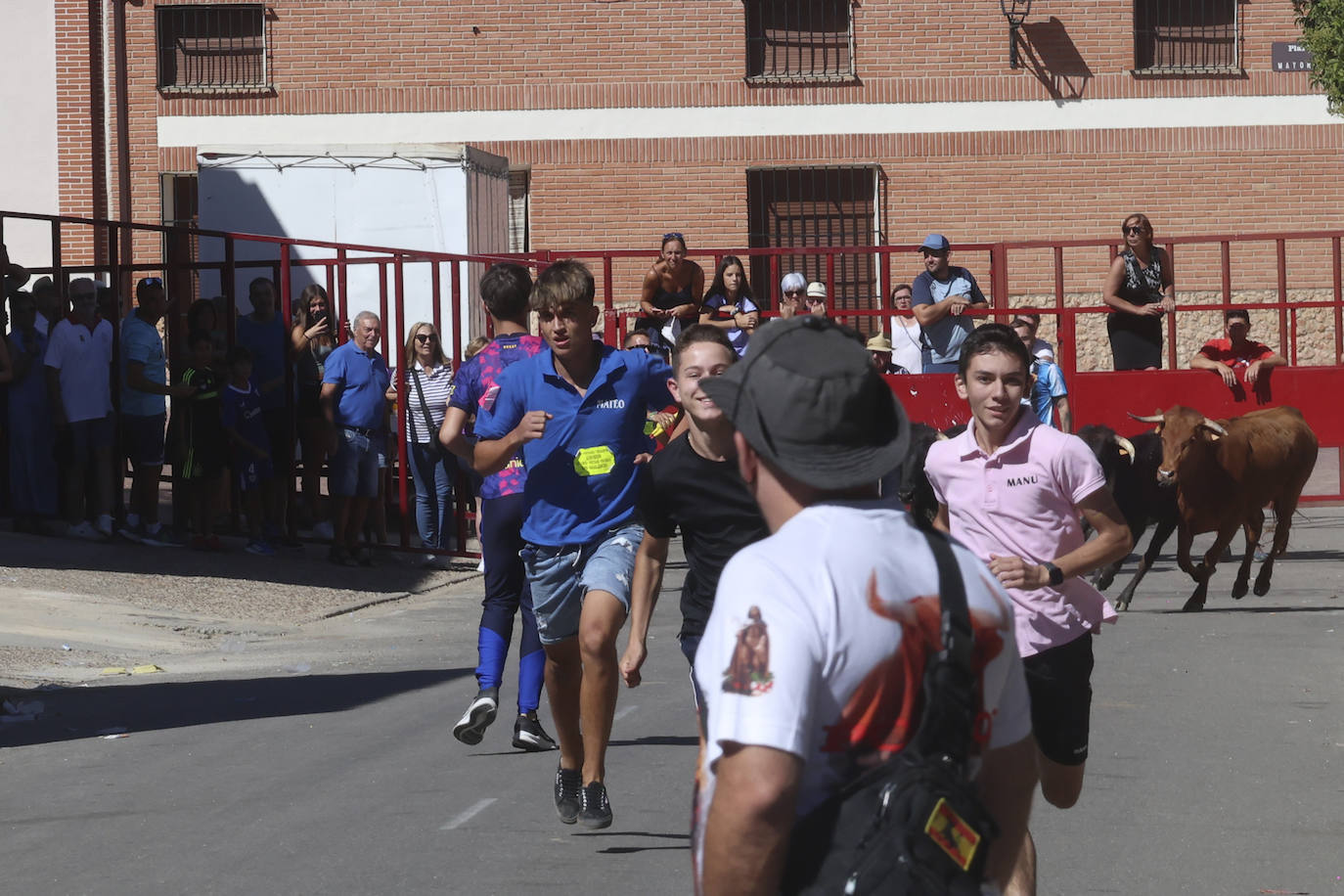 Encierro del sábado en Pollos