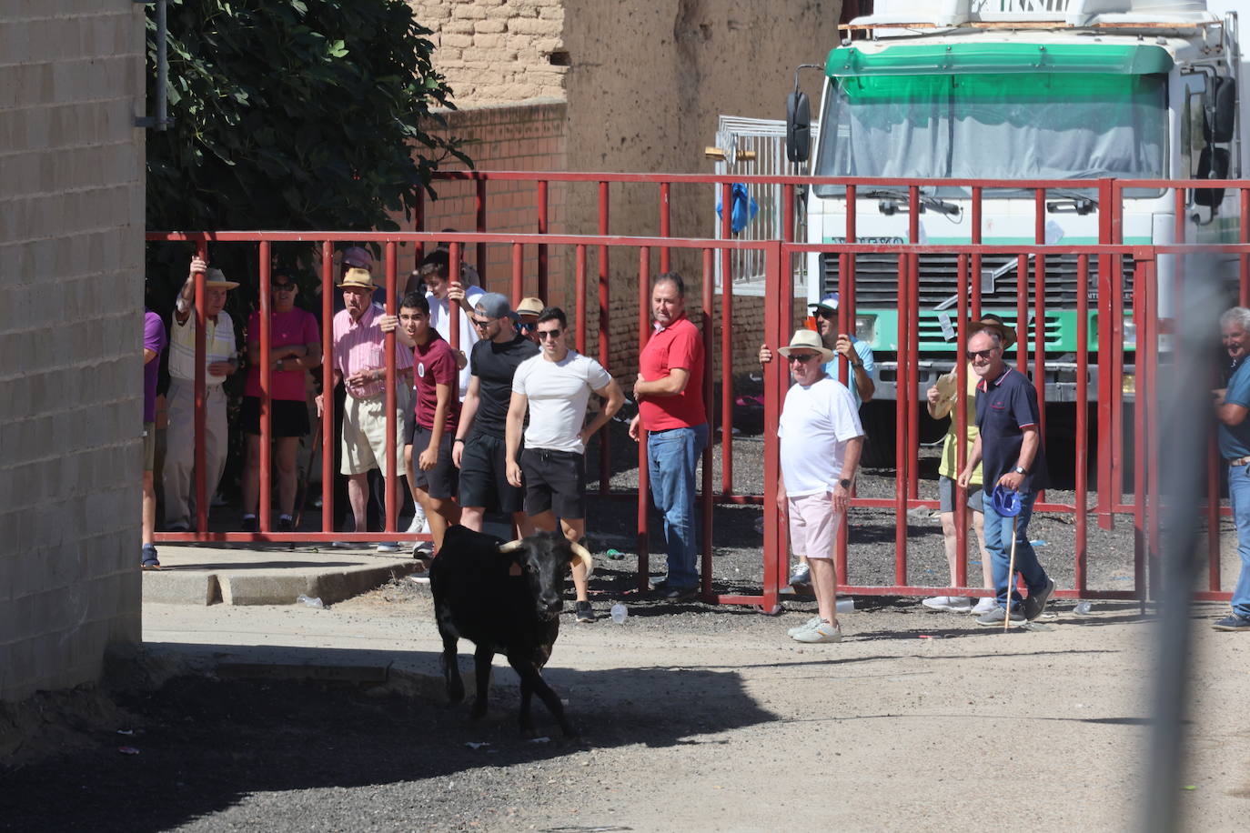 Encierro del sábado en Pollos