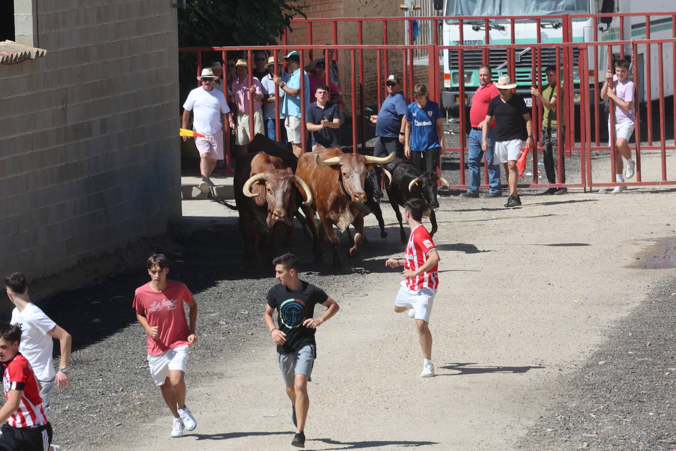 Encierro del sábado en Pollos