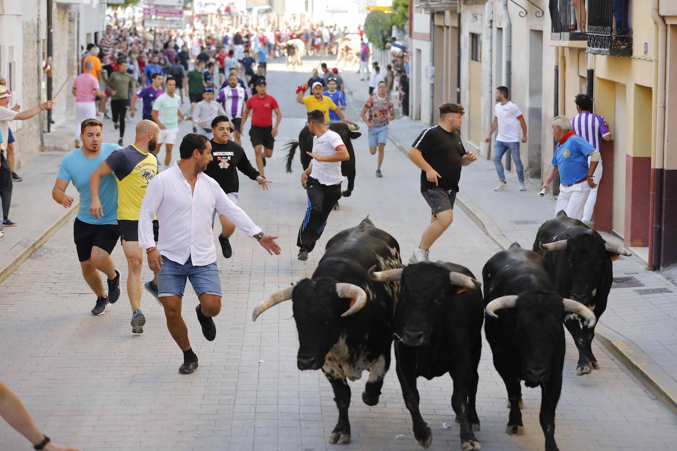 Imágenes de la capea de Peñafiel