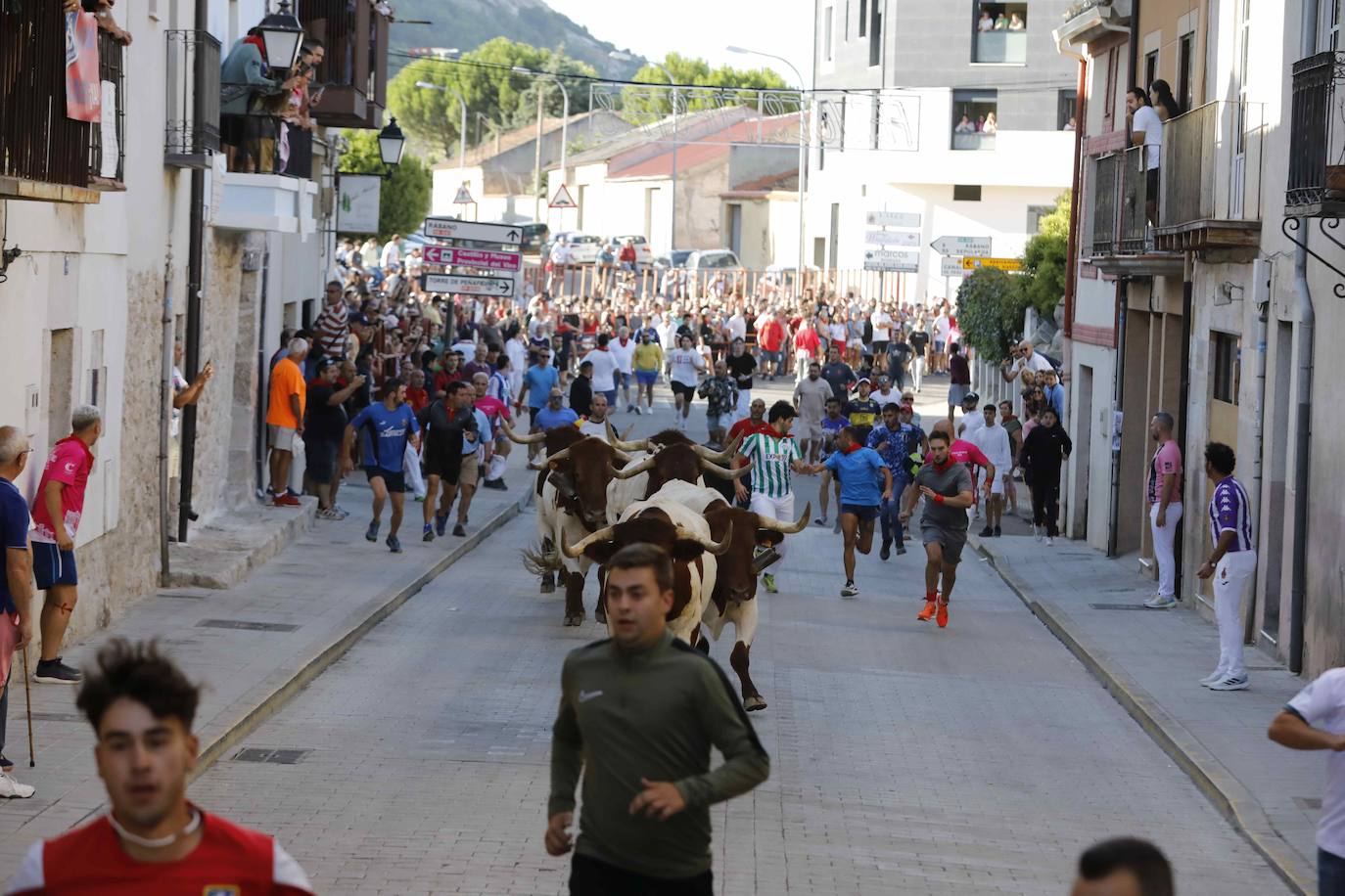 Imágenes de la capea de Peñafiel