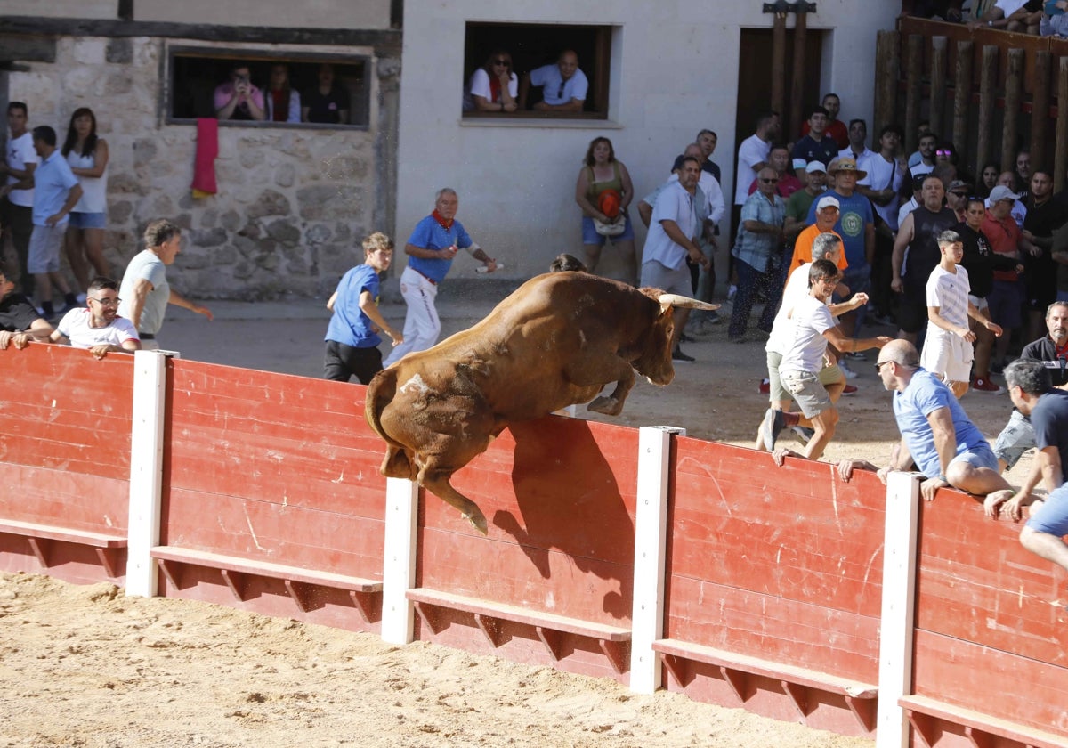 Salto de uno de los toros de Arriazu.