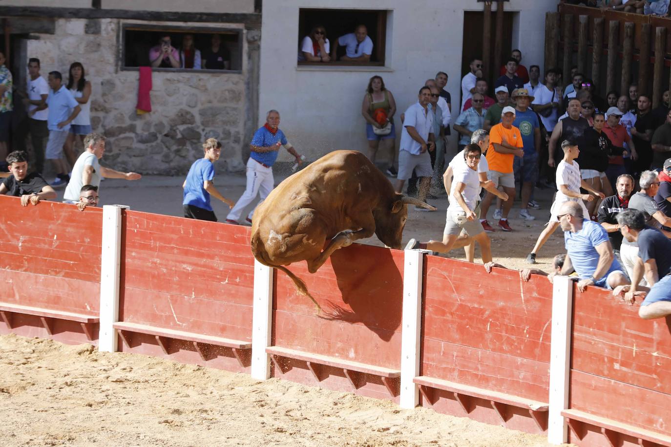 Imágenes de la capea de Peñafiel