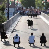 Entretenido encierro con el desafío de ganaderías el celebrado en Tudela