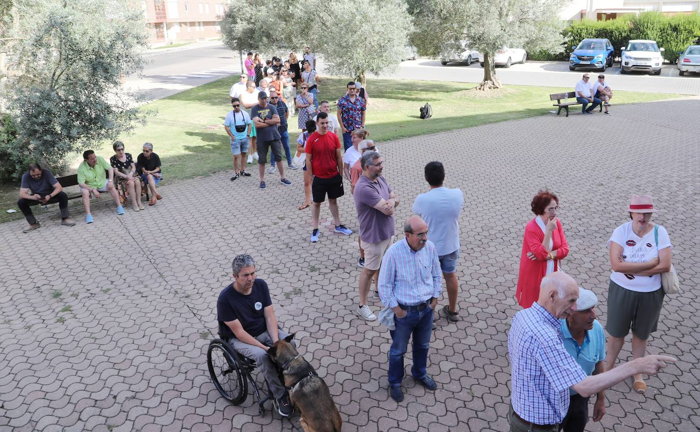 La Feria Taurina de San Antolín se prepara