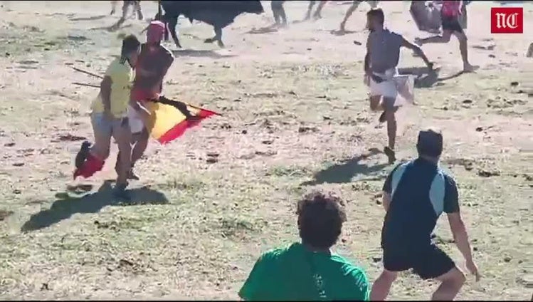 Herido en la ingle por una cornada en el encierro de Venialbo, Zamora
