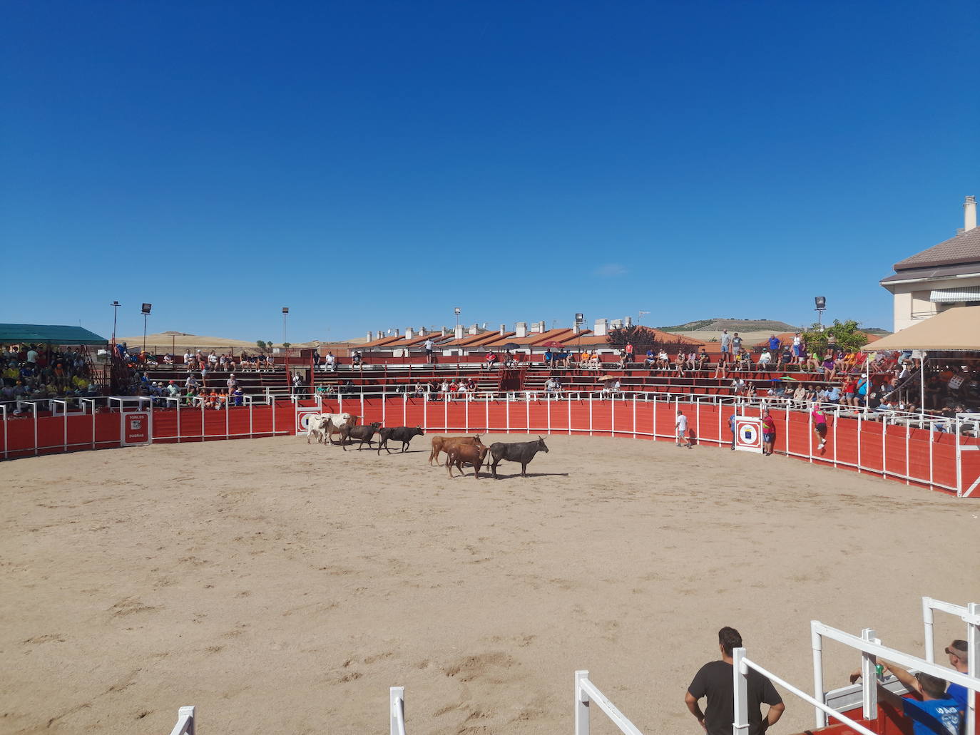 Dueñas vive sus fiestas botijeras