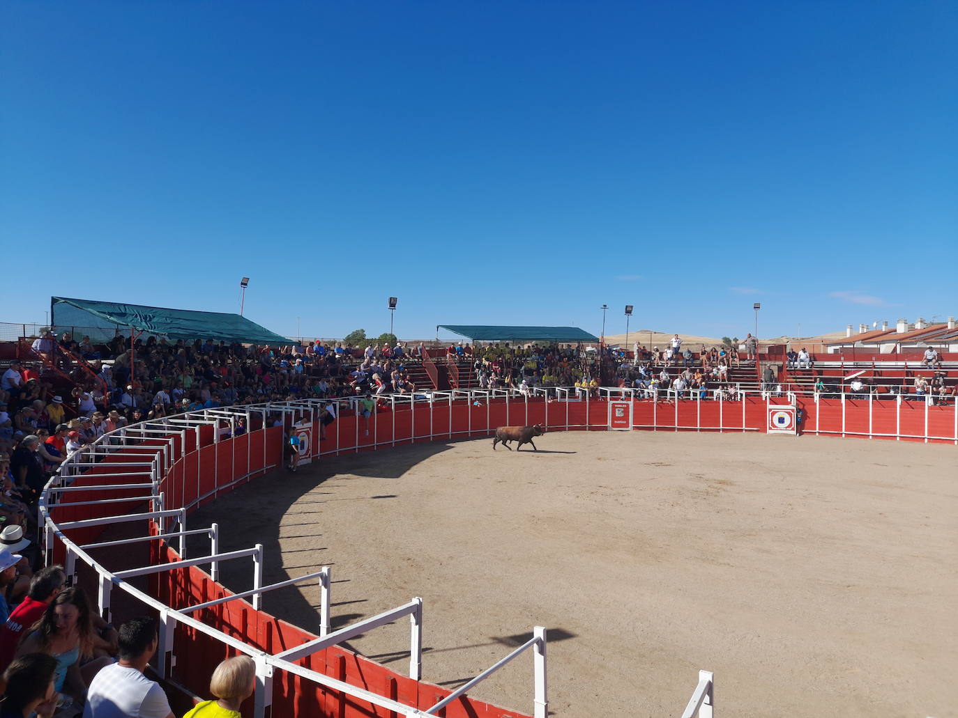 Dueñas vive sus fiestas botijeras