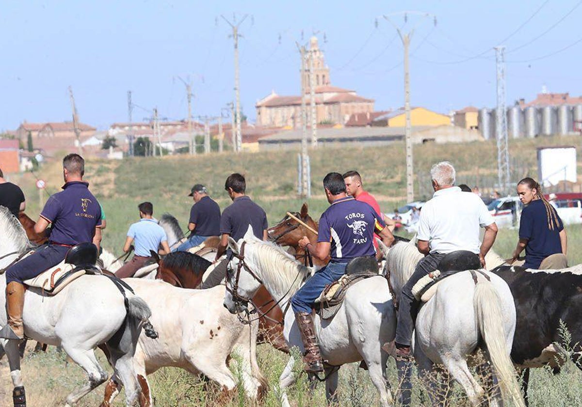 «Los toros, la música y las peñas dan vida a las fiestas»