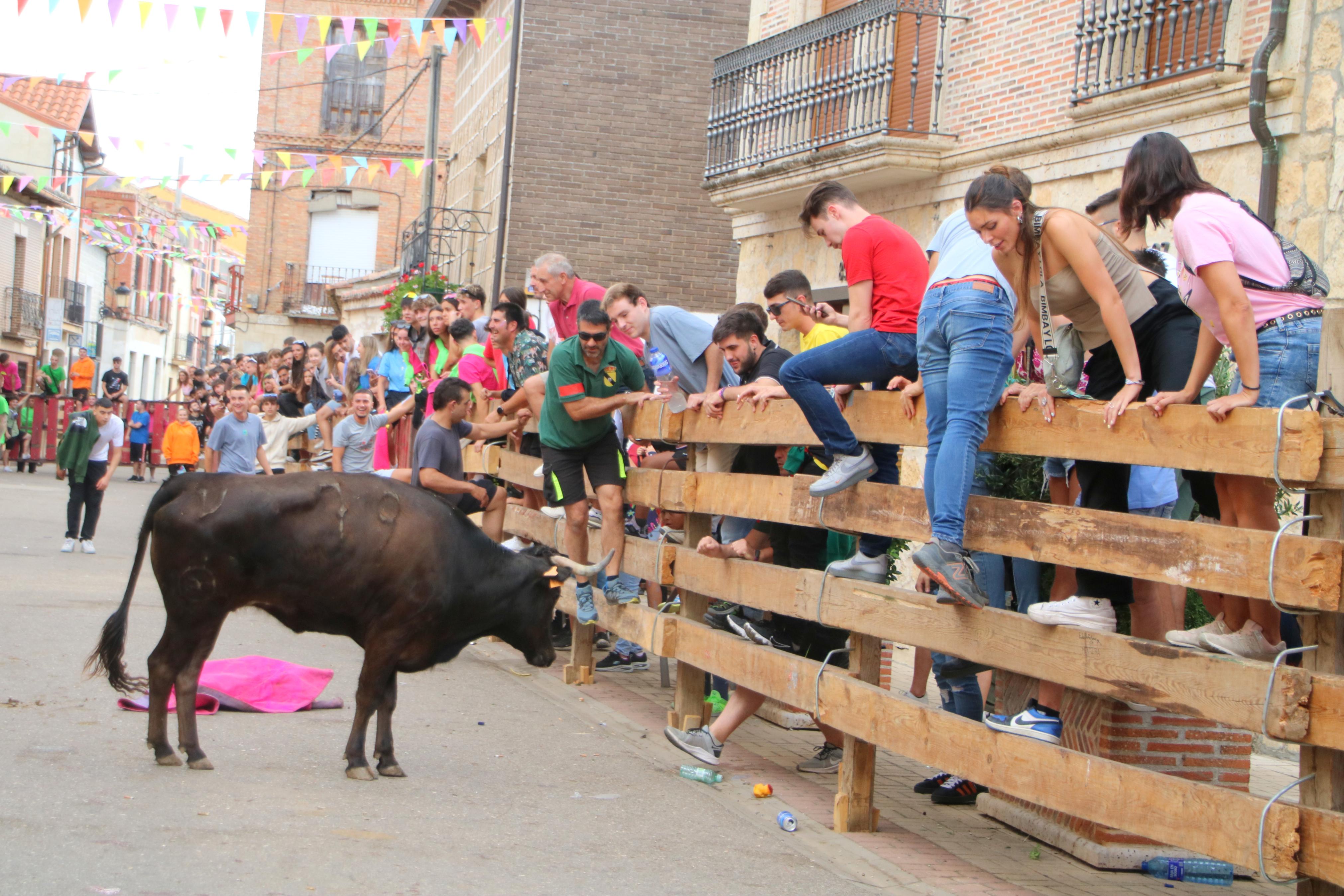 Torquemada, fiel a sus encierros tradicionales