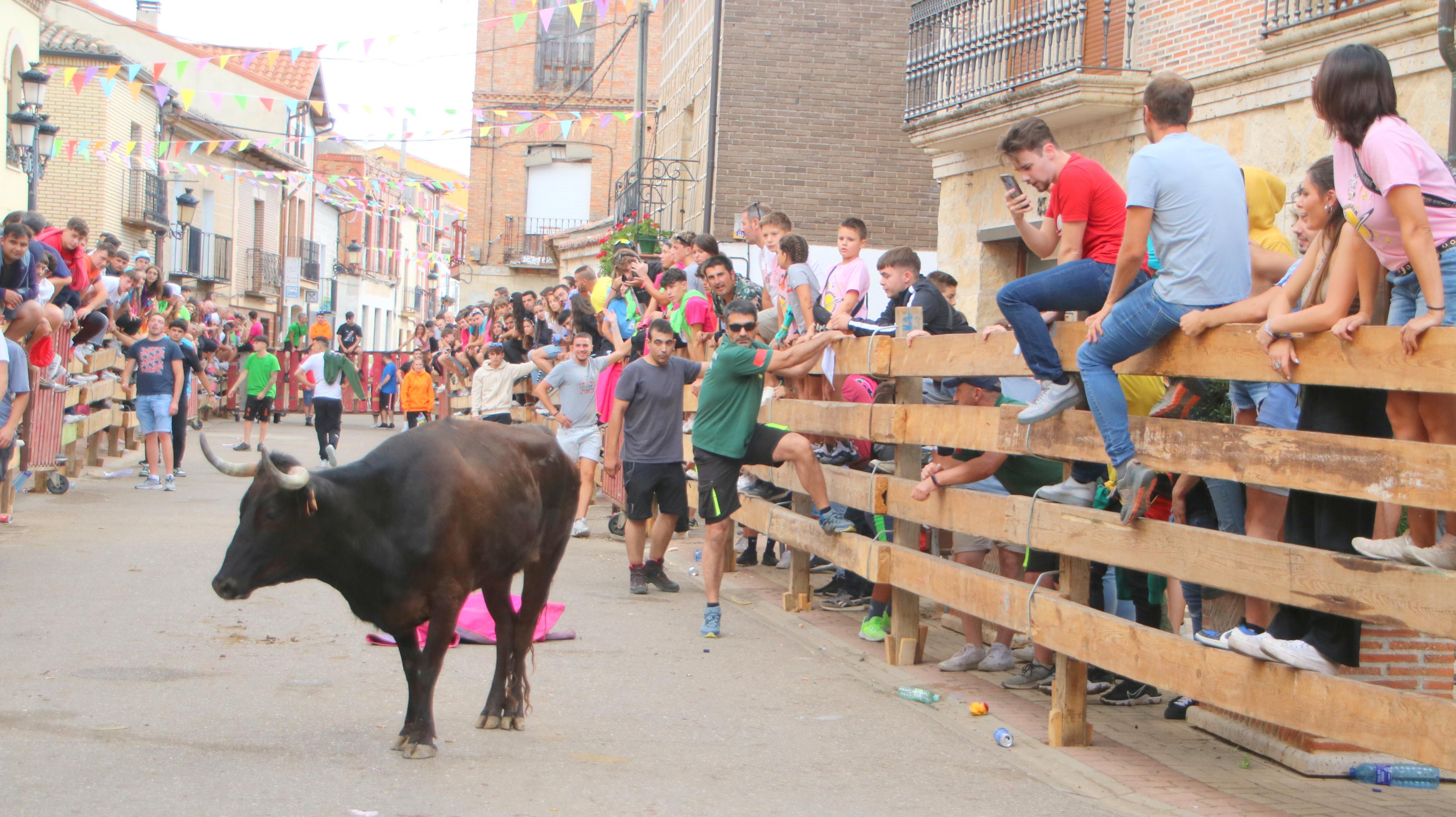 Torquemada, fiel a sus encierros tradicionales