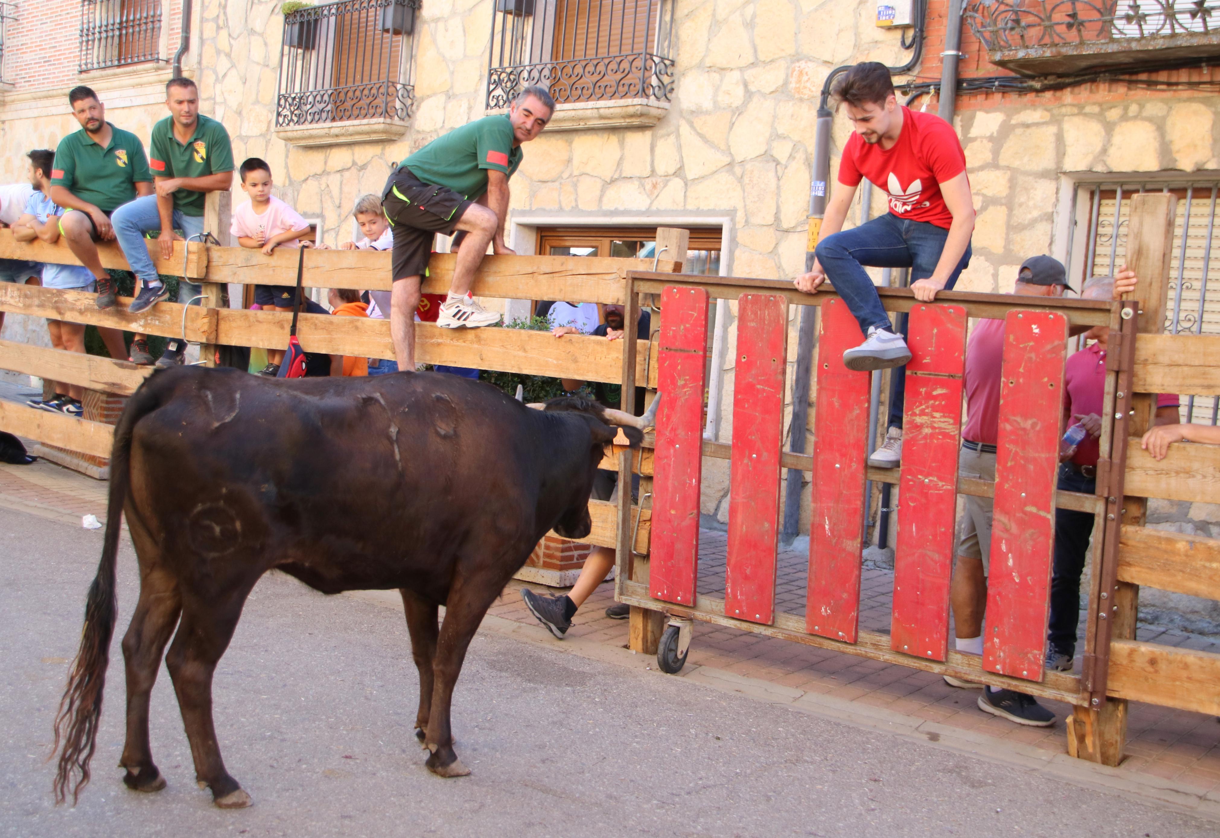 Torquemada, fiel a sus encierros tradicionales