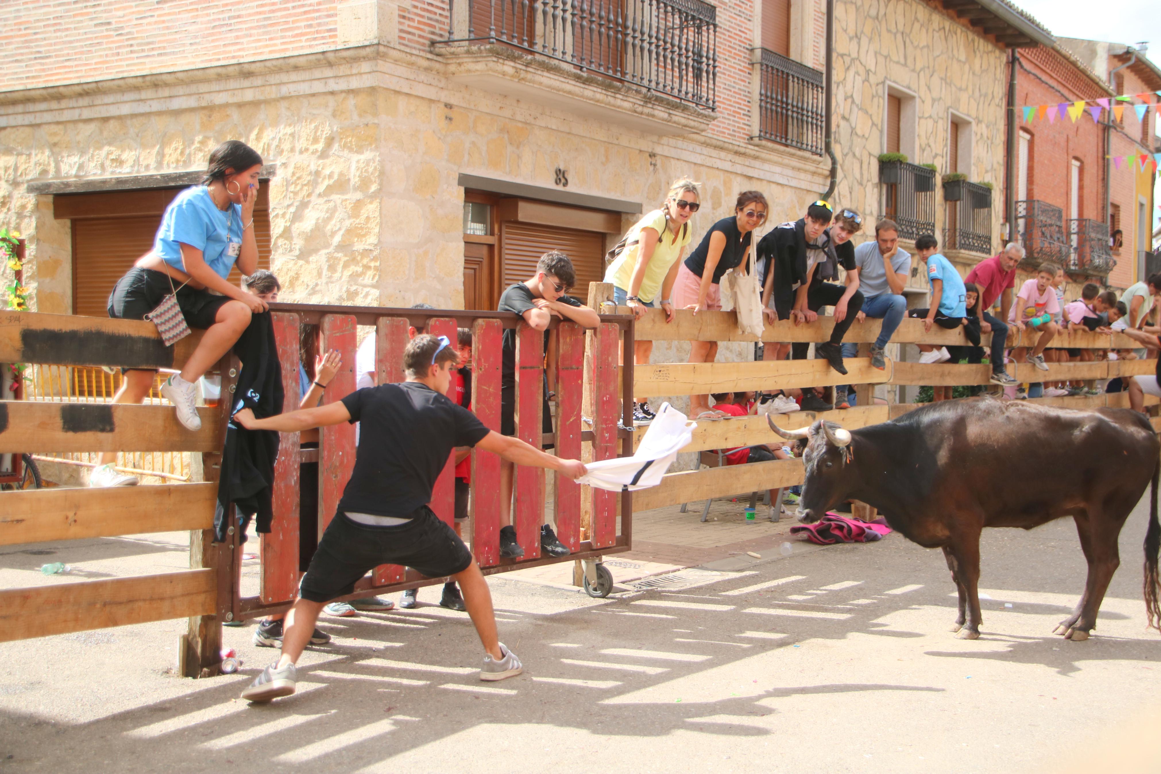 Torquemada, fiel a sus encierros tradicionales