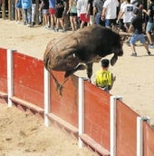 Peñafiel despide sus fiestas con los arriazus repitiendo el salto fuera del ruedo