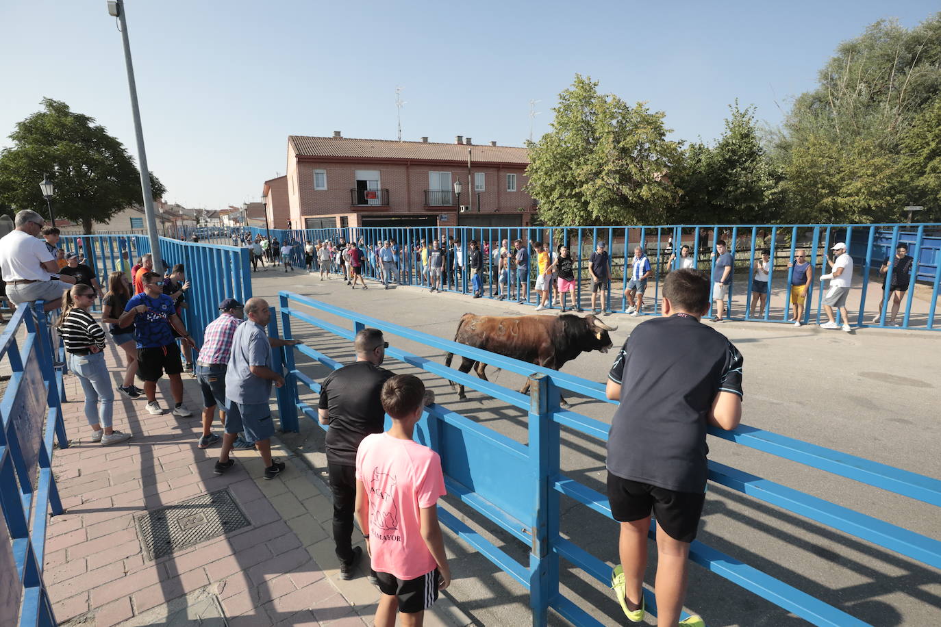 Encierro del lunes en Aldeamayor de San Martín