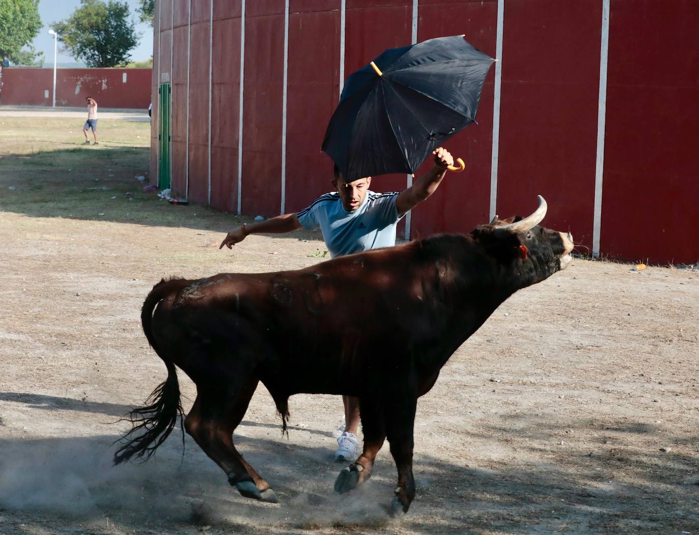 Encierro del lunes en Aldeamayor de San Martín