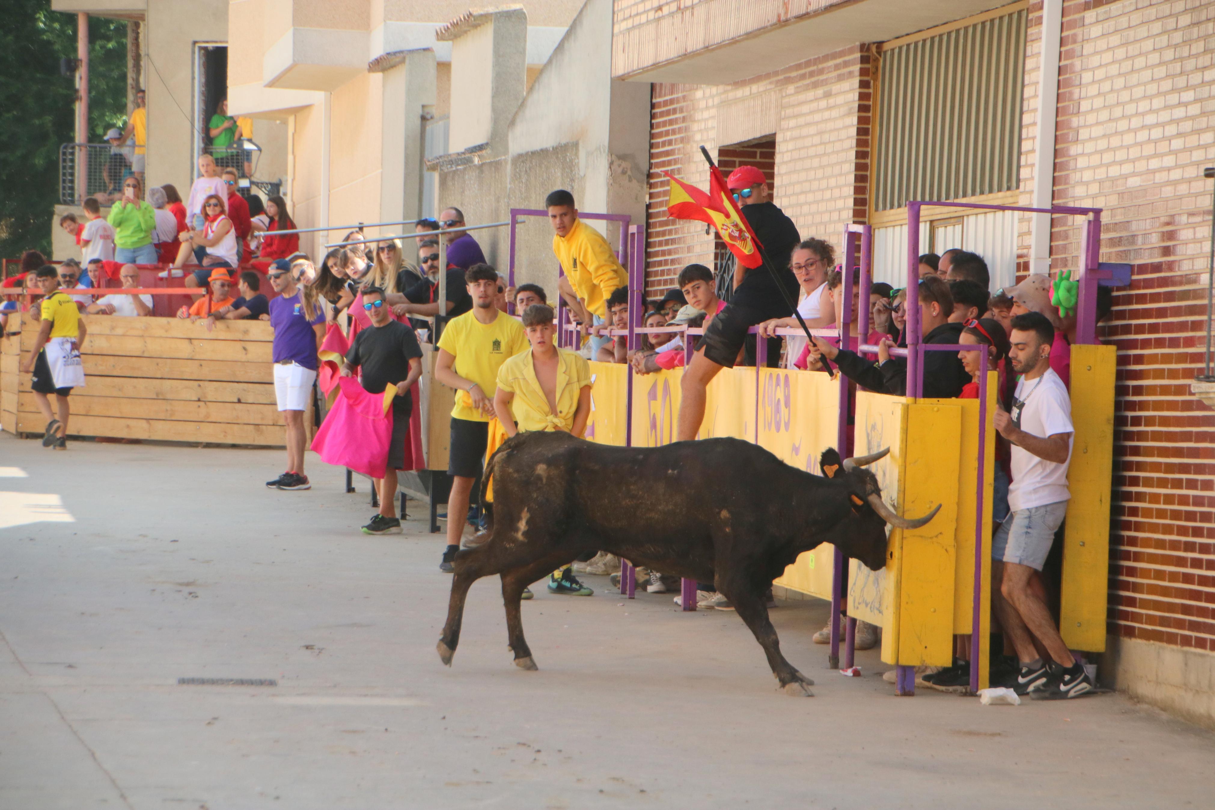 Dueñas celebra sus encierros tradicionales