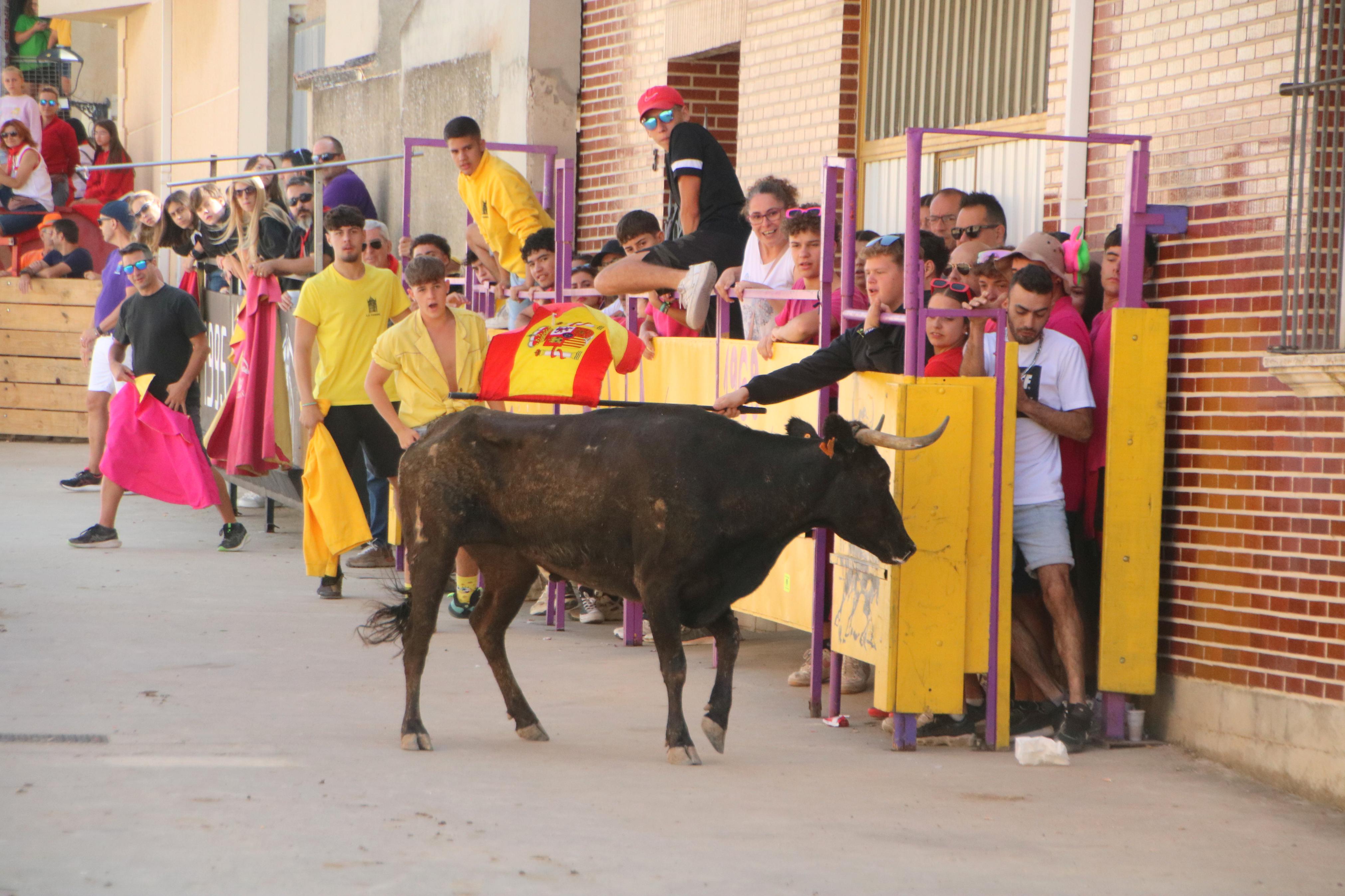 Dueñas celebra sus encierros tradicionales