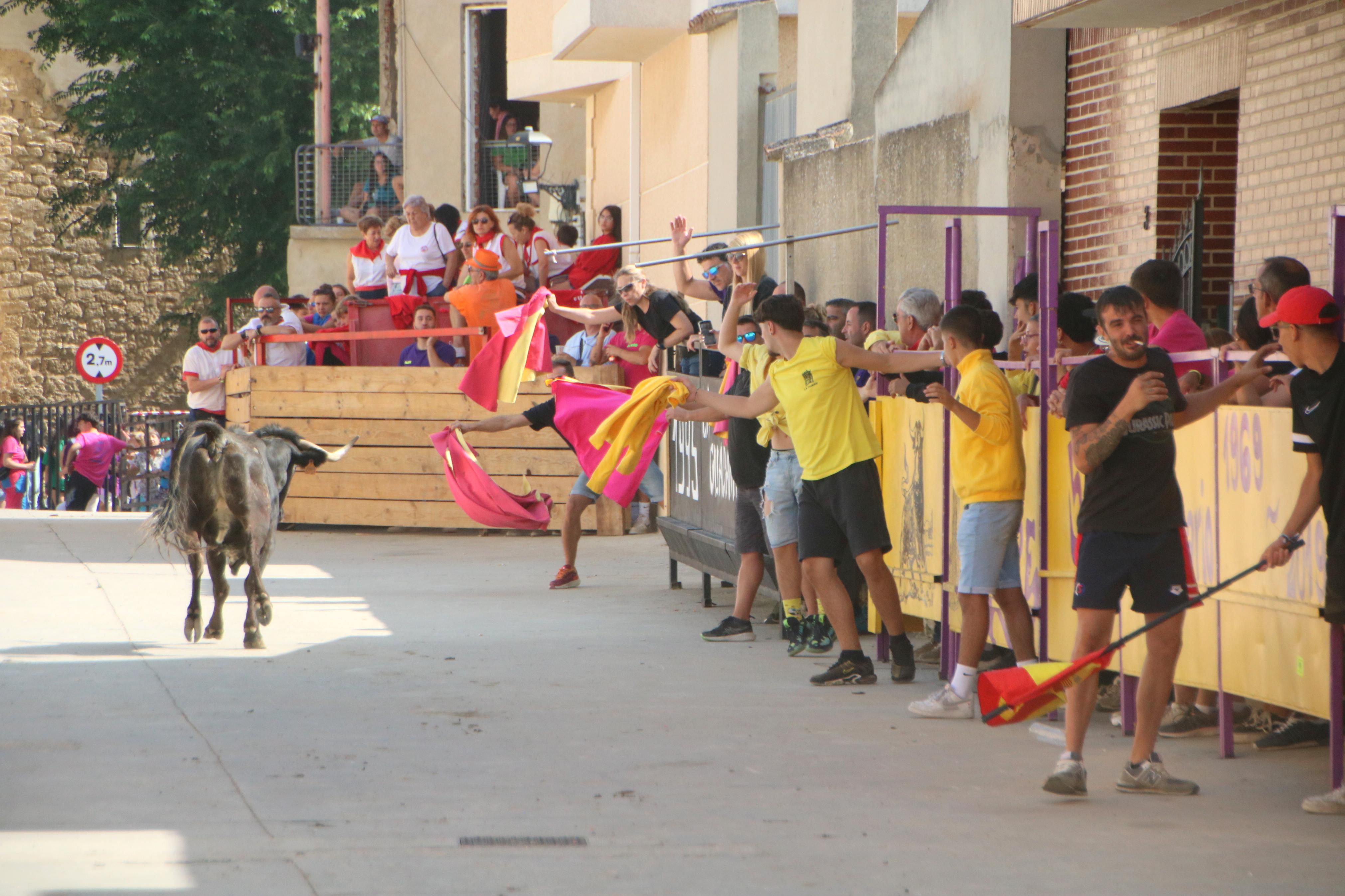 Dueñas celebra sus encierros tradicionales