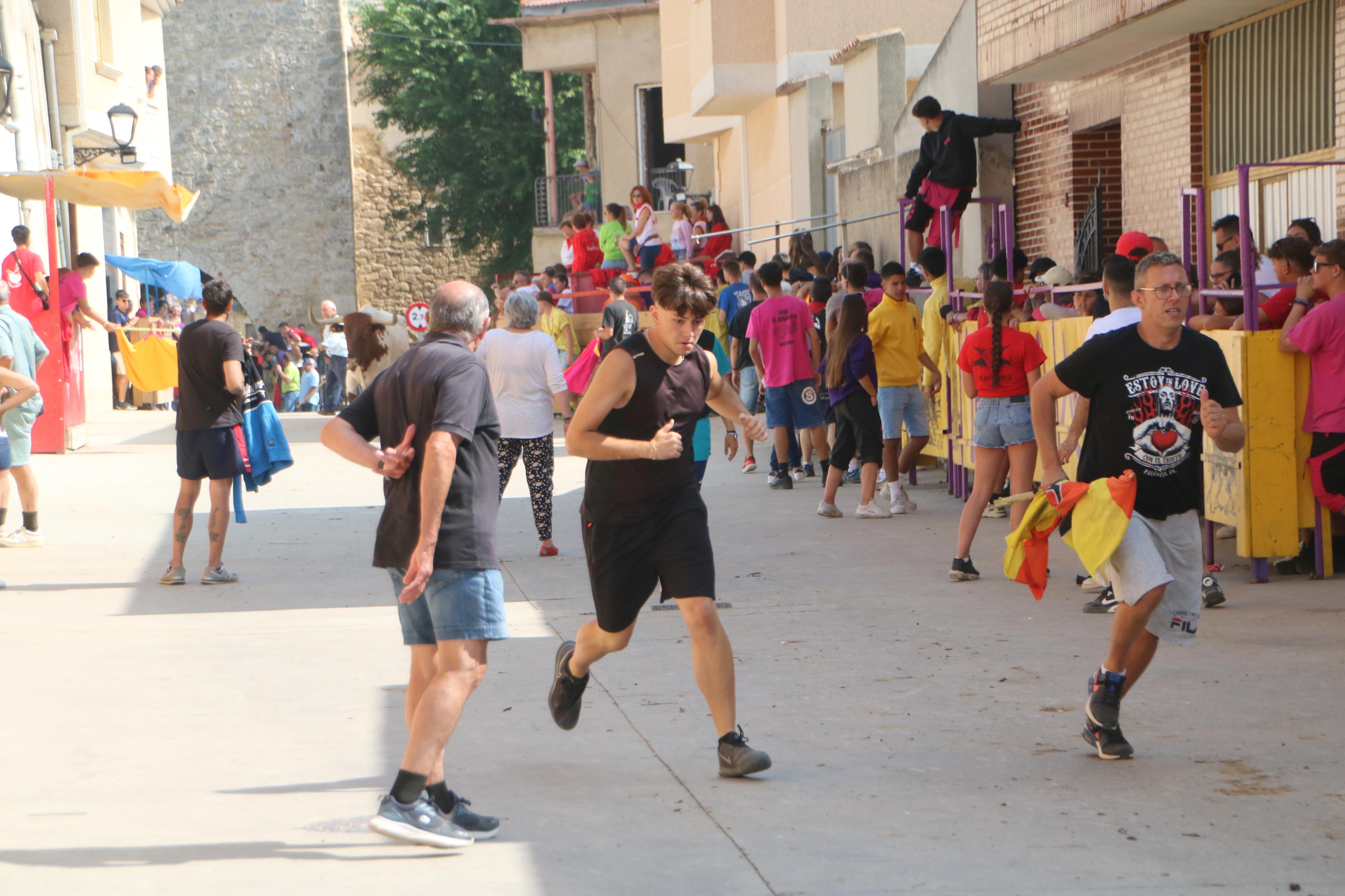 Dueñas celebra sus encierros tradicionales