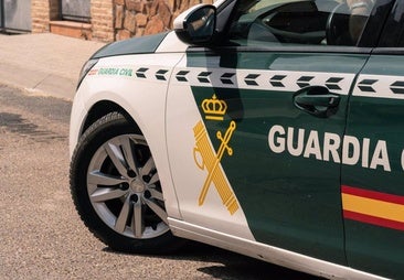 Detenido por alteración del orden y atentado contra guardias civiles en Nava del Rey