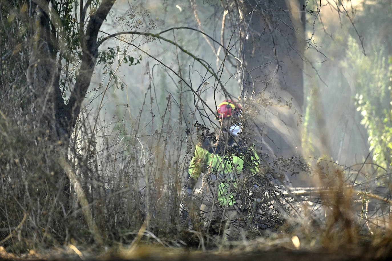 Los Bomberos sofocan dos incendios este viernes en Valladolid