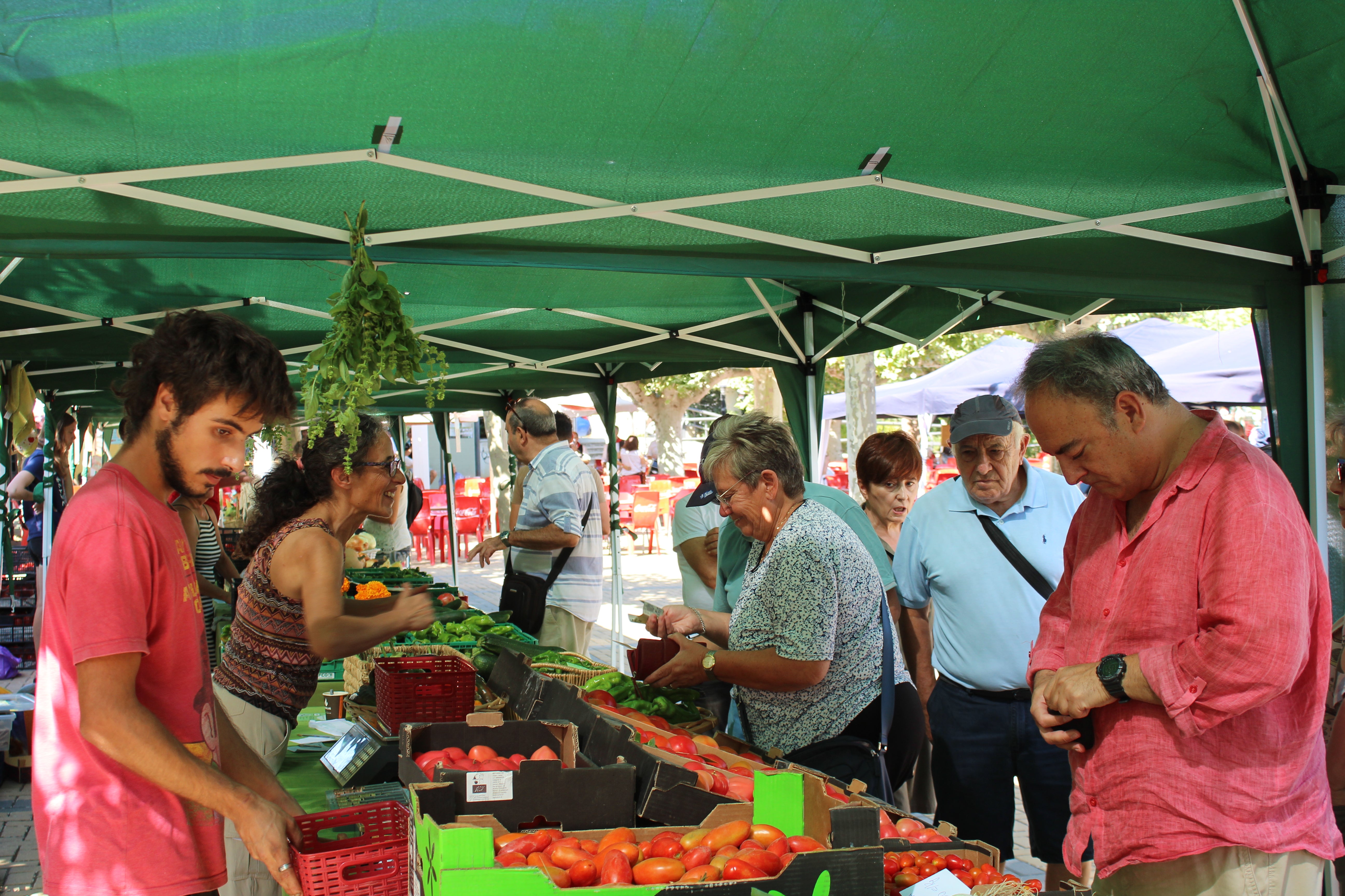 La X Feria del Tomate de Tudela de Duero, en imágenes