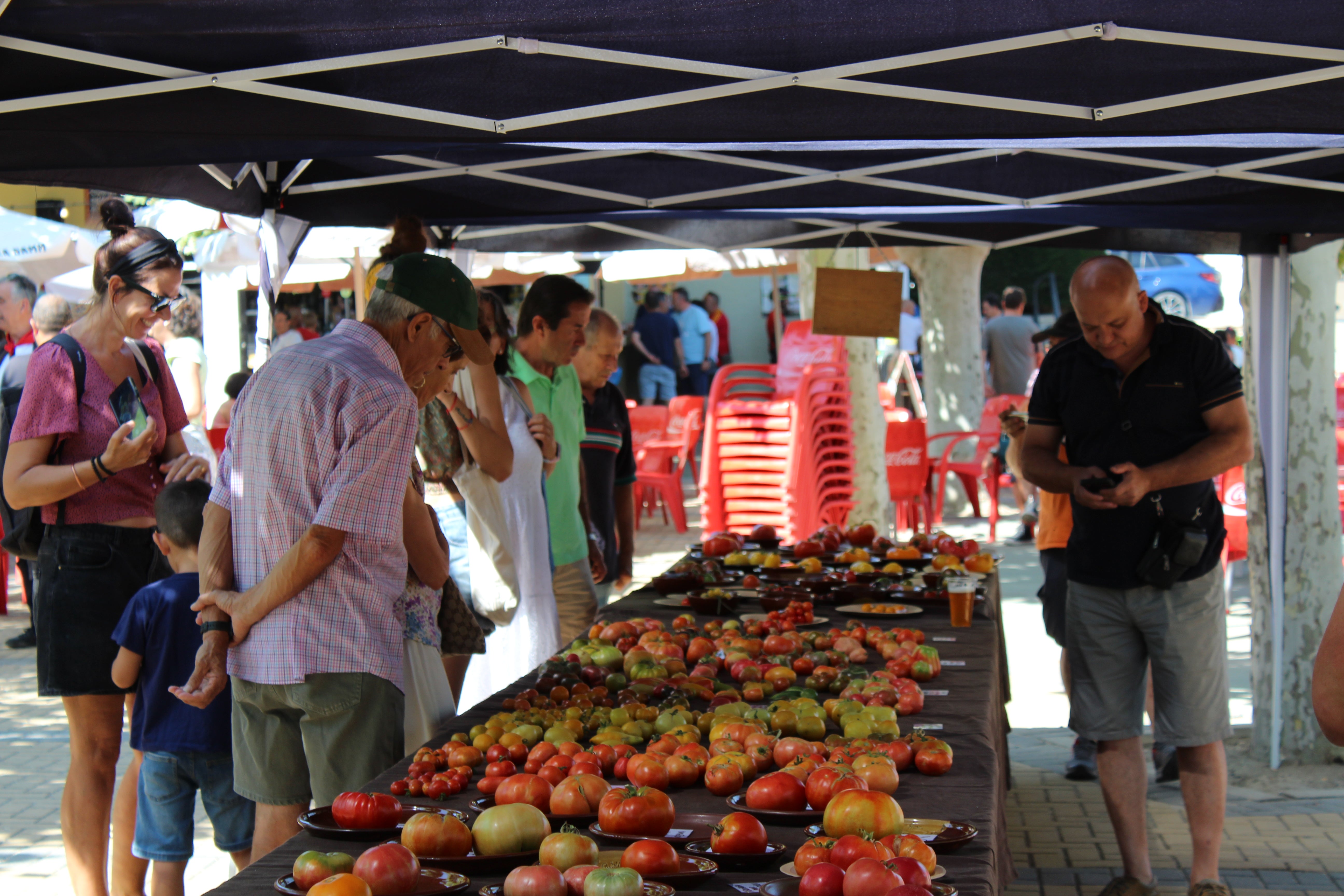 La X Feria del Tomate de Tudela de Duero, en imágenes