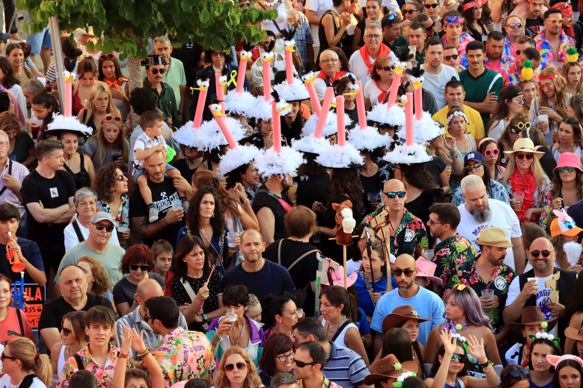 Fotos del inicio de las fiestas en el Real Sitio de San Ildefonso