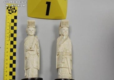 Dos investigados por vender piezas de marfil y causar un daño millonario a la fauna